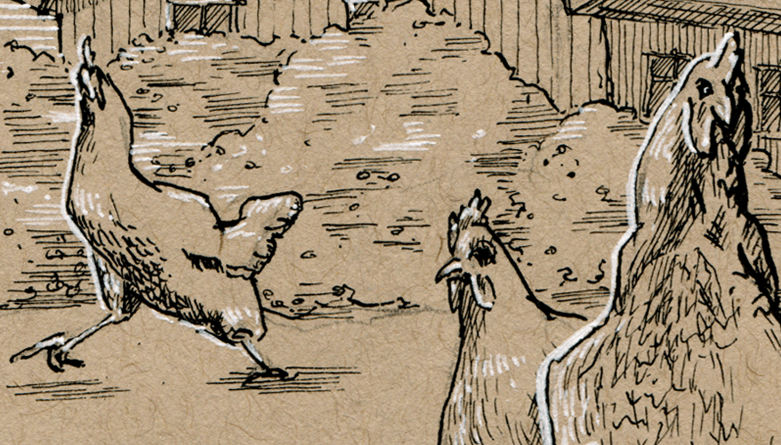 JuliaBuschbeck_chicken