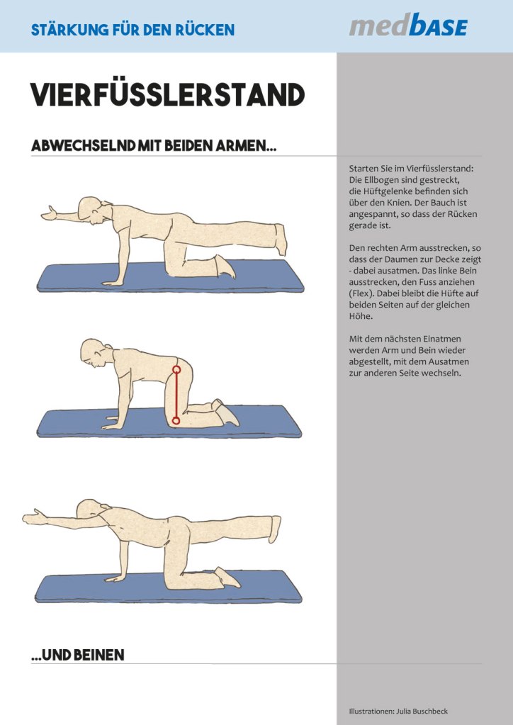 Medizin Physiotherapie Rückenschmerzen Übungen Rücken